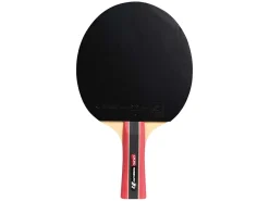 Cornilleau Sport 300 Tischtennisschläger Indoor