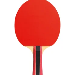 Cornilleau Sport 300 Tischtennisschläger Indoor