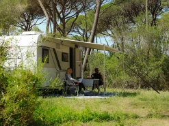 Fiamma Caravanstore Evo 290 Royal Grey Vorzelt