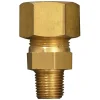 Gimeg 1/4 Inch Außen x 6/8 gerader Anschluss