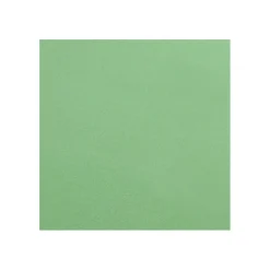 Lampa Pro-Clean Satingewebe Elektroniktuch - 30 x 40 cm