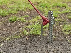 Obelink Ancla Hering mit Haken und Ring