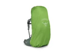 Osprey Ariel 55 Rucksack Women - Koseret Green