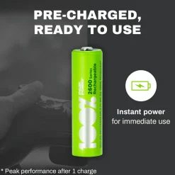100%PeakPower Set von 12 AA Batterien