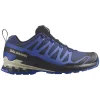 Salomon XA Pro 3D V9 GTX Herren Wanderschuhe - Blue