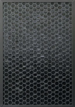 Schwaiger HEPA H13 658019 Aktivkohlefilter - White