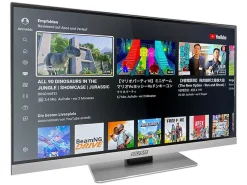 Selfsat Smart-LED-TV 1260 24"