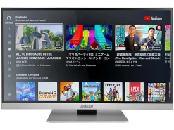 Selfsat Smart-LED-TV 1255 22"