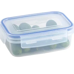 Sunware Basic 0,45 Liter transparente Frischhaltebox mit Clips