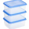 Sunware Club Cuisine 1,2 Liter Transparentes blaues Gefrierbox-Set