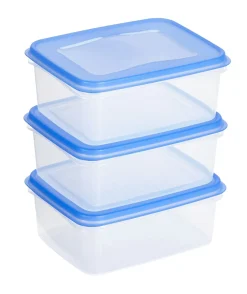 Sunware Club Cuisine 1,2 Liter Transparentes blaues Gefrierbox-Set
