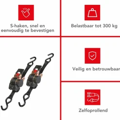 Toolland ARAT11X2 2-teiliger Spanngurt-Set mit Ratsche - 3 Meter