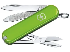 Victorinox Classic SD Smashed Avocado Taschenmesser