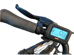 Villette L' Amant Premium elektrisches Cityfahrrad