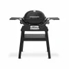 Weber Q 1200N Stand-Gasgrill