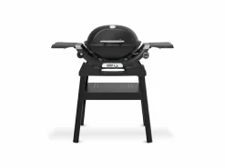 Weber Q 1200N Stand-Gasgrill