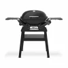 Weber Q 2200N Stand-Gasgrill