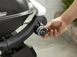 Weber Q 2200N Stand-Gasgrill