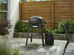 Weber Q 2200N Stand-Gasgrill