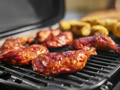 Weber Traveler Compact Gasgrill