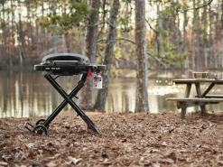 Weber Traveler Compact Gasgrill