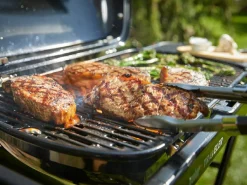 Weber Traveler tragbarer Gasgrill
