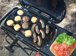 Weber Traveler tragbarer Gasgrill